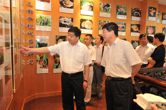 圖片關(guān)鍵詞 圖片關(guān)鍵詞