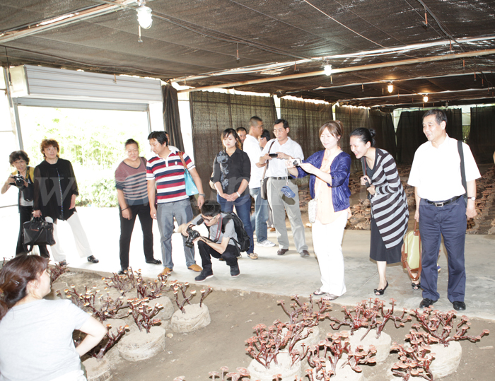 圖片關鍵詞 圖片關鍵詞