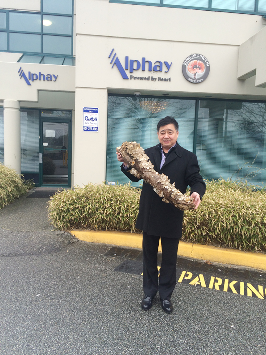 圖片關(guān)鍵詞 圖片關(guān)鍵詞