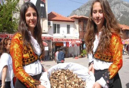 圖片關鍵詞 圖片關鍵詞