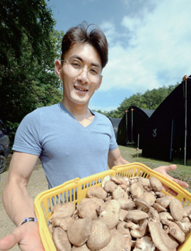 圖片關鍵詞 圖片關鍵詞