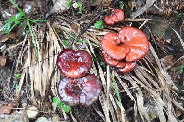 圖片關(guān)鍵詞 圖片關(guān)鍵詞