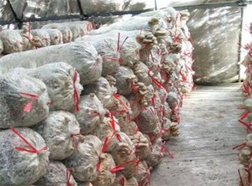 圖片關鍵詞 圖片關鍵詞