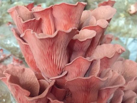 圖片關鍵詞 圖片關鍵詞