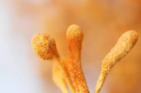 圖片關鍵詞 圖片關鍵詞