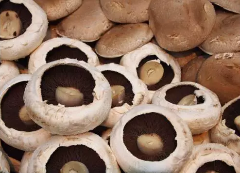 圖片關鍵詞 http://www.daylei.com/ewebeditor/uploadfile/20170914091257506001.png