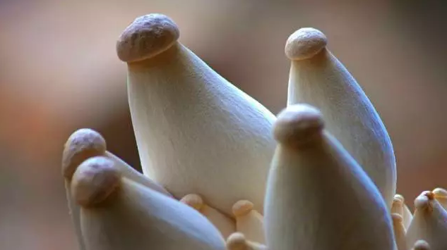 圖片關鍵詞 http://www.daylei.com/ewebeditor/uploadfile/20170914091357269001.png