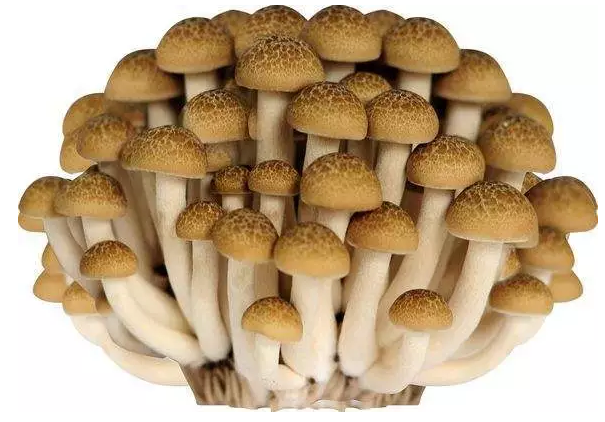 圖片關鍵詞 http://www.daylei.com/ewebeditor/uploadfile/20170914091421667001.png