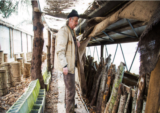 圖片關鍵詞 圖片關鍵詞