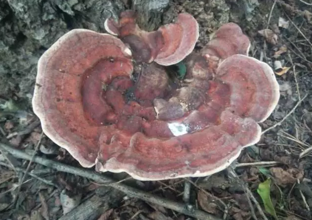 圖片關(guān)鍵詞 圖片關(guān)鍵詞