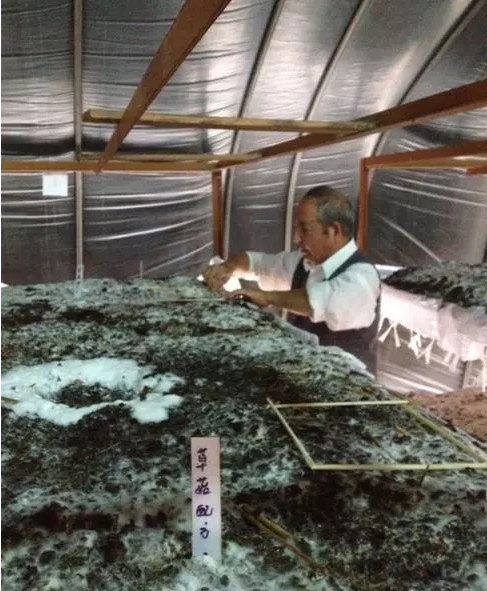 圖片關鍵詞 圖片關鍵詞