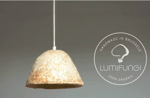 圖片關鍵詞 http://www.daylei.com/ewebeditor/uploadfile/20180727085601461001.png