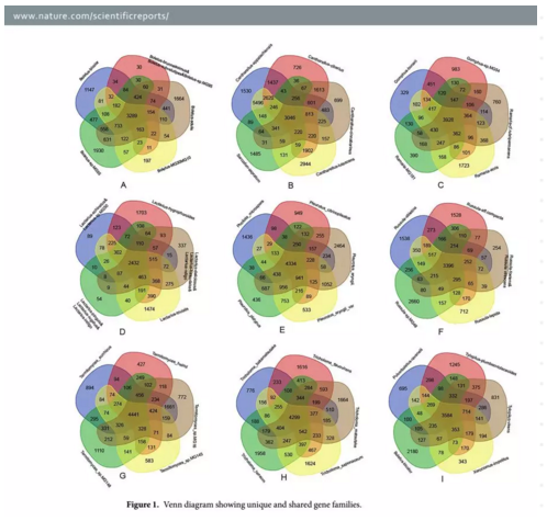 圖片關(guān)鍵詞 圖片關(guān)鍵詞