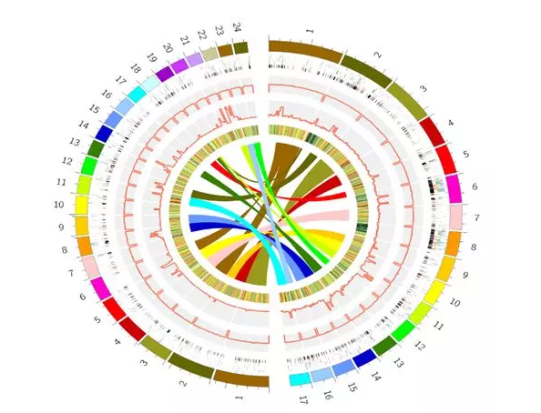 圖片關(guān)鍵詞 圖片關(guān)鍵詞