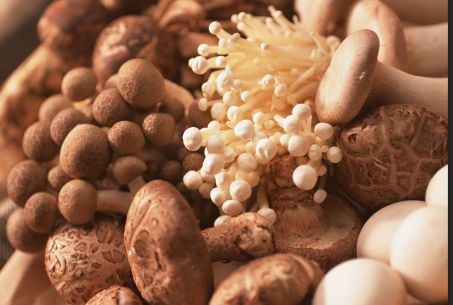 圖片關鍵詞 圖片關鍵詞