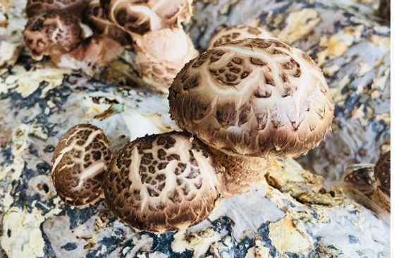 圖片關鍵詞 圖片關鍵詞