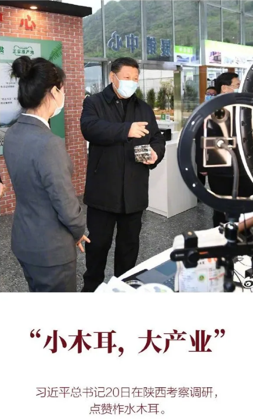 圖片關鍵詞 http://www.mushroommarket.net/file/upload/202004/21/16-48-38-10-283825.png