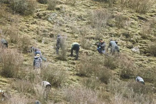 圖片關鍵詞 https://mmbiz.qpic.cn/mmbiz_jpg/OnRbAd1HL46UNKFibMcWGQpUNc4vQicRXnquA1kKkpIx1j8X67oEFuNibMn2jTgkVGiax0zT9v24xxzreZ0kiaWMJxQ/640?wx_fmt=jpeg