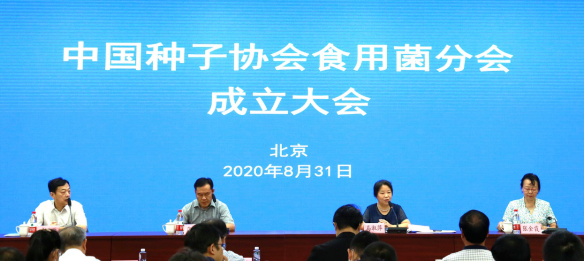 圖片關鍵詞 https://mmbiz.qpic.cn/mmbiz_png/EzTg6Bqtpm1CKj38vS1NgvGRicwJgsxcrLoa1licZCfRekGhF4ok8A1KicFEh7wJUX5RAicaFs1CCuYVwnFvicEN21A/640?wx_fmt=png