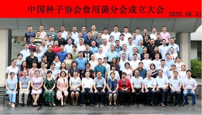 圖片關鍵詞 image.png