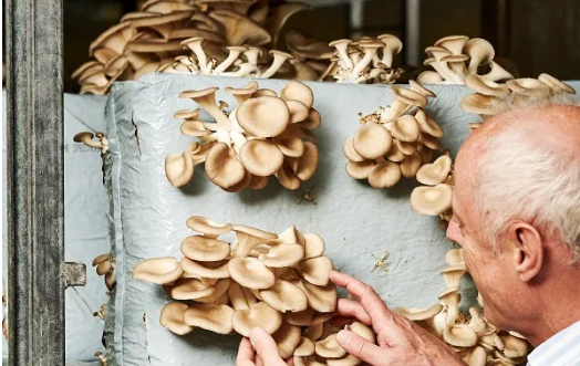 圖片關鍵詞 圖片關鍵詞