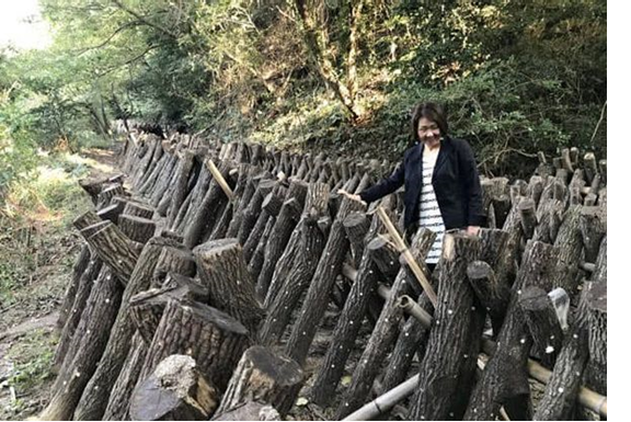 圖片關鍵詞 圖片關鍵詞