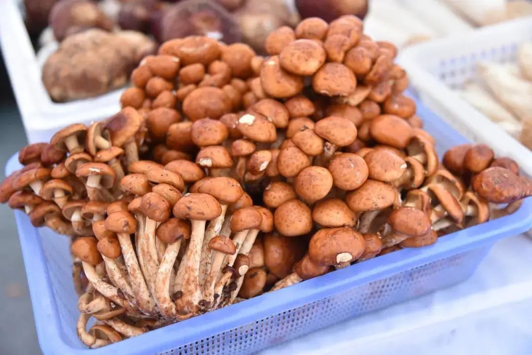 圖片關(guān)鍵詞 https://mmbiz.qpic.cn/mmbiz_jpg/tViaTicjwibVZmgEXXCALToc7mAB2rFo1LnqIVTLzuEn7sZxQibqovVJU5Jap9uiazoWP1Libh6M5h6JZFX0QlwlNCkA/640?wx_fmt=jpeg