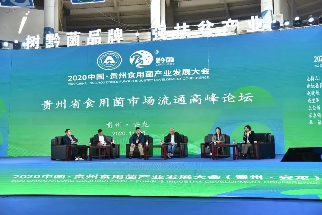 圖片關(guān)鍵詞 https://mmbiz.qpic.cn/mmbiz_jpg/tViaTicjwibVZmgEXXCALToc7mAB2rFo1Ln5M8ajw1C9fbk1pPX7FL9XJicqIktJmIFBjI7lBcvxC3VcvtQ2PgscGA/640?wx_fmt=jpeg