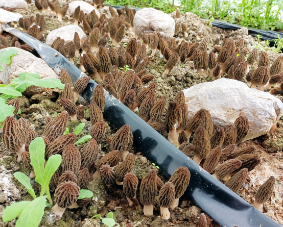 圖片關鍵詞 圖片