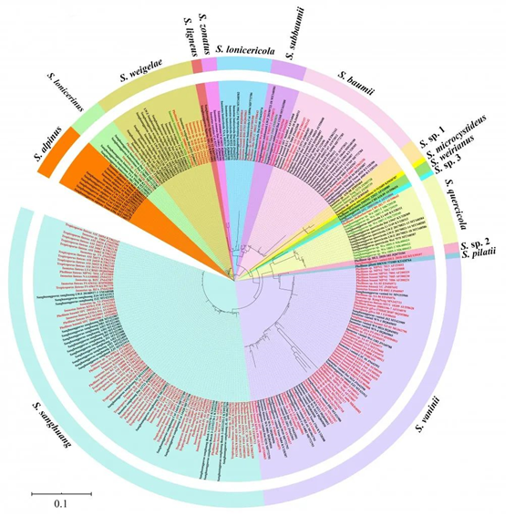 圖片關(guān)鍵詞 圖片關(guān)鍵詞