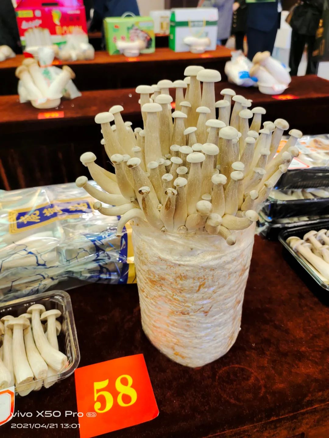 圖片關鍵詞 圖片