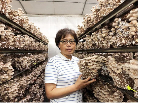 圖片關(guān)鍵詞 圖片關(guān)鍵詞