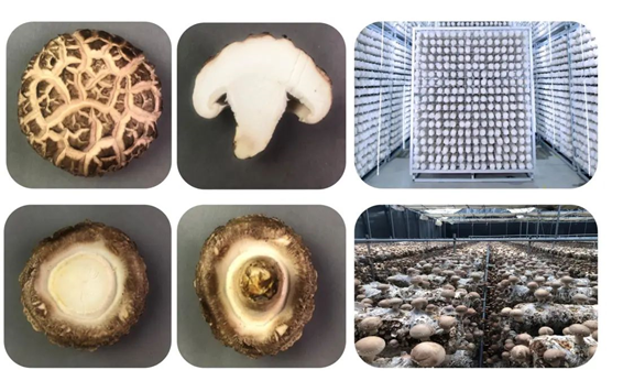 圖片關(guān)鍵詞 圖片關(guān)鍵詞