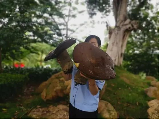 圖片關(guān)鍵詞 圖片關(guān)鍵詞