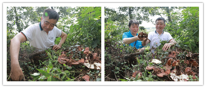 圖片關鍵詞 圖片關鍵詞