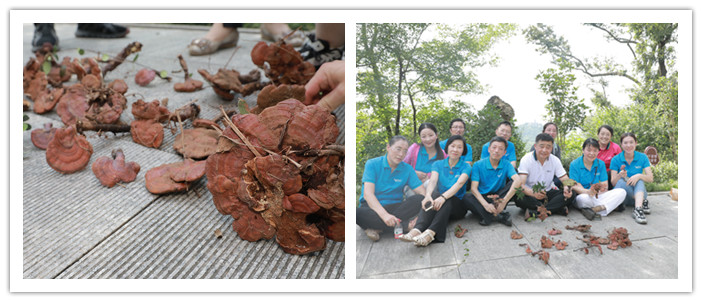 圖片關鍵詞 圖片關鍵詞