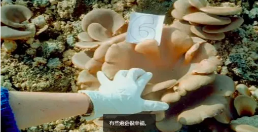 圖片關鍵詞 圖片關鍵詞