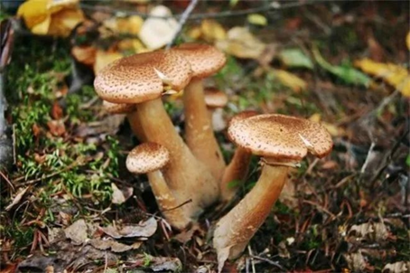 圖片關(guān)鍵詞 圖片關(guān)鍵詞