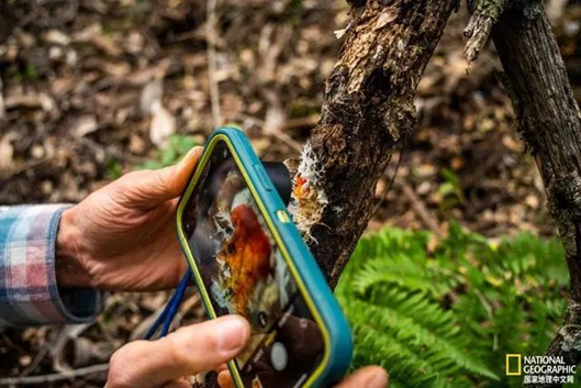 圖片關(guān)鍵詞 圖片關(guān)鍵詞