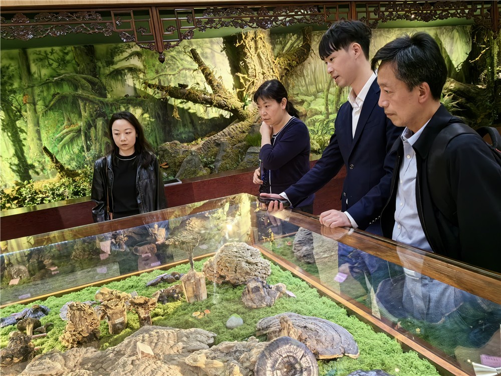 圖片關鍵詞 圖片關鍵詞