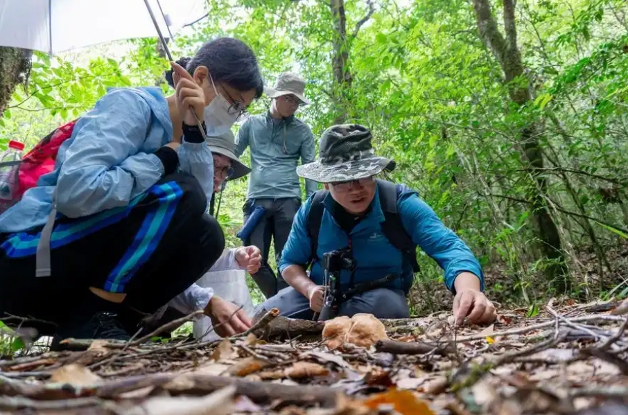 圖片關(guān)鍵詞