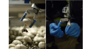 行業(yè)動態(tài)