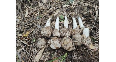 行業(yè)動(dòng)態(tài)